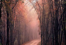 开云体育app下载地址-包含大胜之门即将打开：强队对抗快节奏！的词条